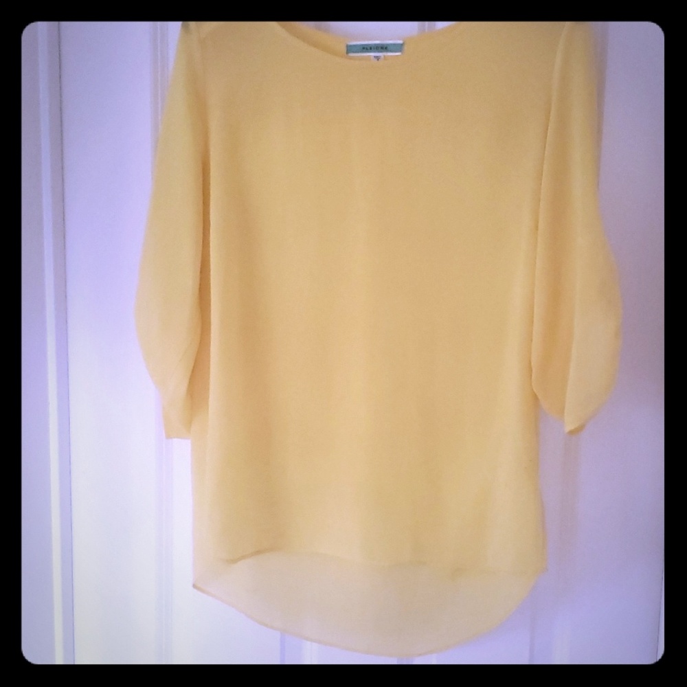 Pleione sheer top